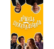 Лошадь Пржевальского