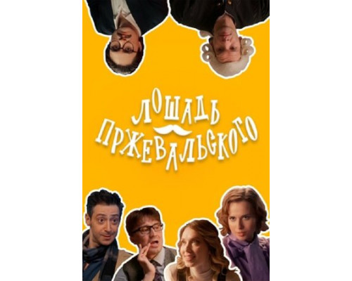 Лошадь Пржевальского смотреть онлайн