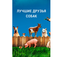 Лучшие друзья собак