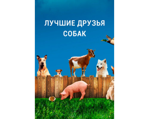 Лучшие друзья собак смотреть онлайн