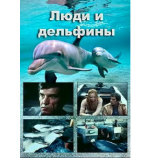 Люди и дельфины