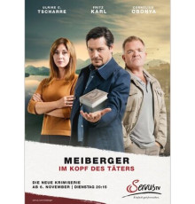 Майбергер. В голове преступника