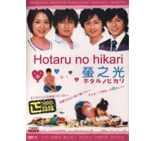 Мерцание светлячков