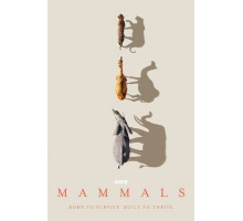 Млекопитающие