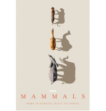 Млекопитающие