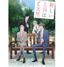 Мой новый босс – глупый