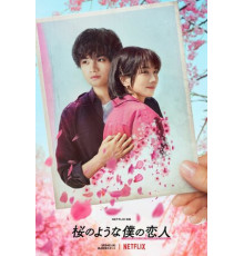 Моя любимая словно цветок сакуры