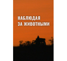 Наблюдая за животными