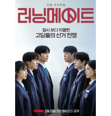 Напарник на выборах