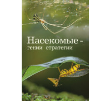 Насекомые — гении стратегии