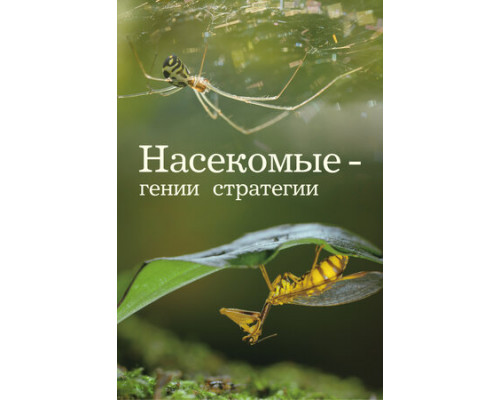 Насекомые — гении стратегии смотреть онлайн