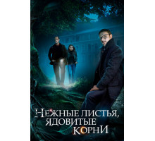 Нежные листья, ядовитые корни