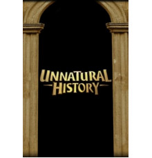 Невероятная история