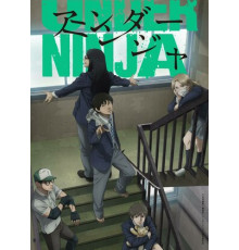 Низкоквалифицированный ниндзя