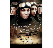 Ночные ласточки