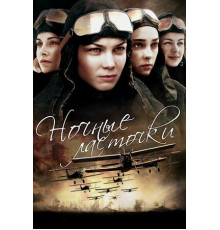 Ночные ласточки