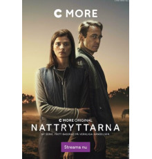 Ночные наездники