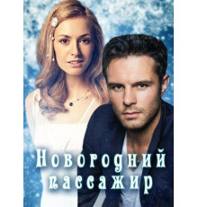 Новогодний пассажир