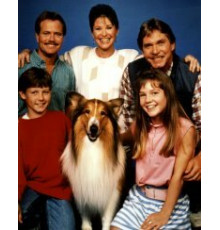 Новые приключения Лэсси