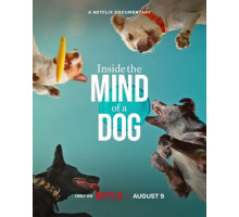 О чем думают собаки