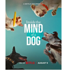 О чем думают собаки