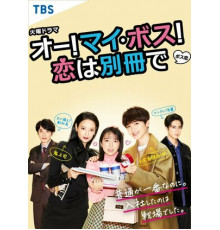 О, мой босс! Любовь — это бонусная книга