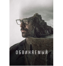 Обвиняемый