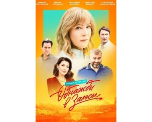 Однажды в Залесье смотреть онлайн