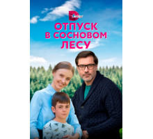 Отпуск в сосновом лесу