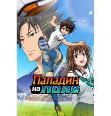 Паладин на поле