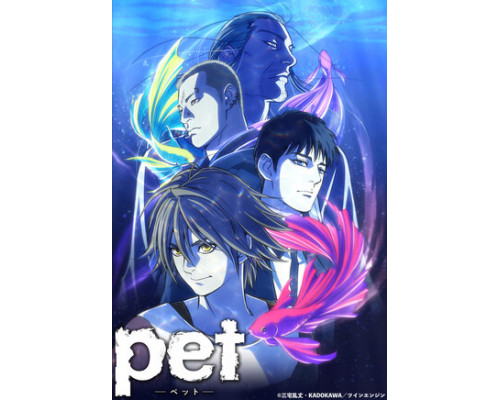 Питомец смотреть онлайн