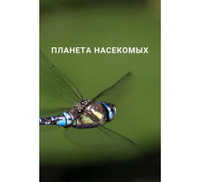 Планета насекомых