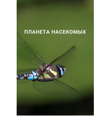 Планета насекомых