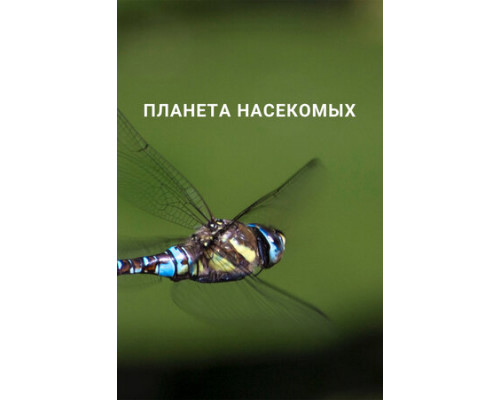 Планета насекомых смотреть онлайн