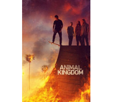 По волчьим законам