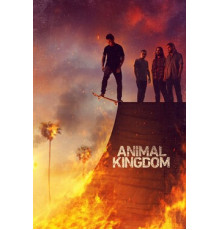 По волчьим законам