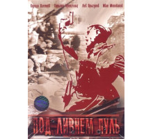 Под ливнем пуль