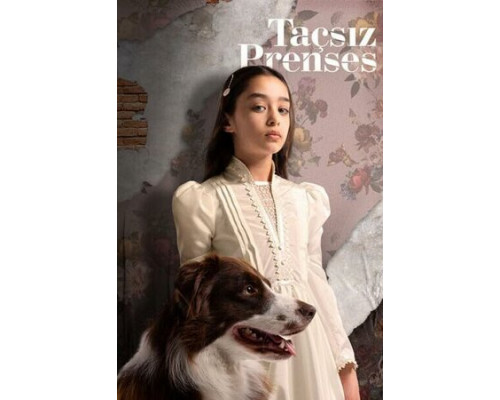 Принцесса без короны смотреть онлайн