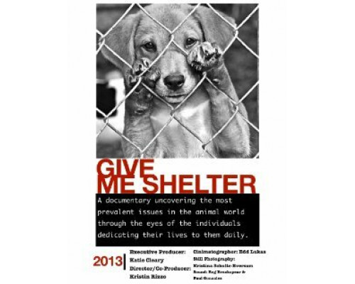 Приют для животных смотреть онлайн