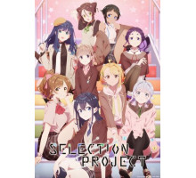 Проект отбора