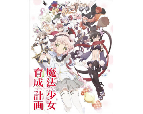 Проект по обучению волшебниц смотреть онлайн