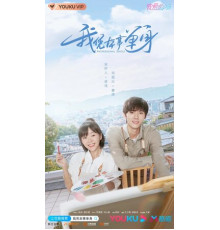 Профессионал-одиночка