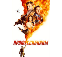 Профессионалы