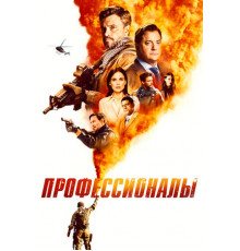 Профессионалы