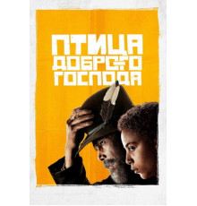 Птица доброго господа