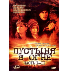 Пустыня в огне