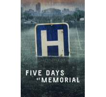 Пять дней после катастрофы