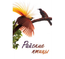 Райские птицы
