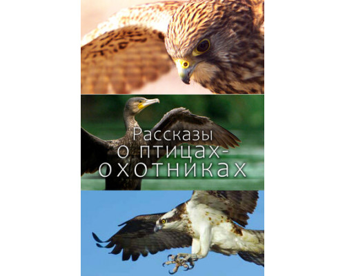 Рассказы о птицах-охотниках смотреть онлайн