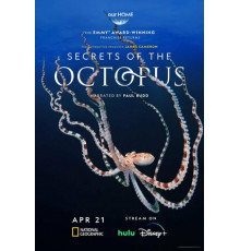 Секреты осьминога